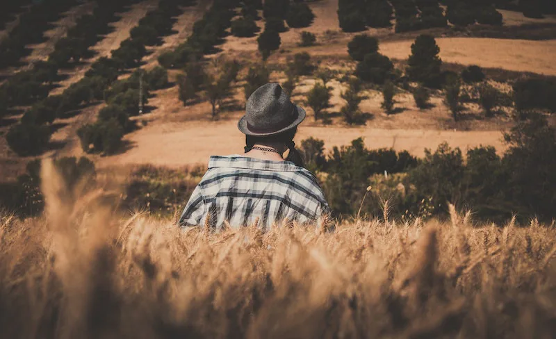Person in a hat seen from behind in a golden field, looking toward a quiet landscape