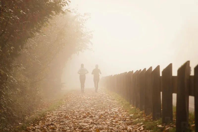 Two people walking or jogging along a foggy path beside a fence, representing perseverance, transition, and shared progress.