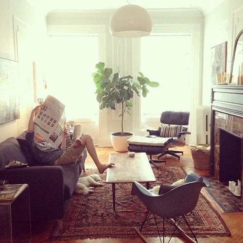 Warm living room with a person reading on a couch, bright windows, plants, and a cozy shared home atmosphere.
